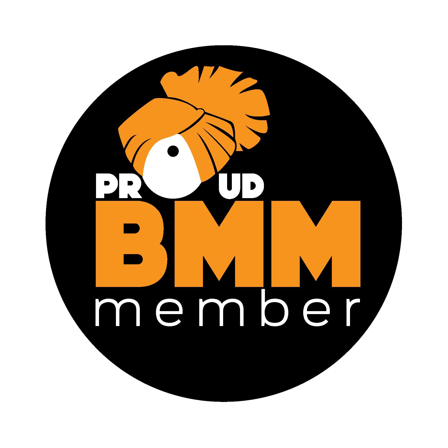 team-BMM Member